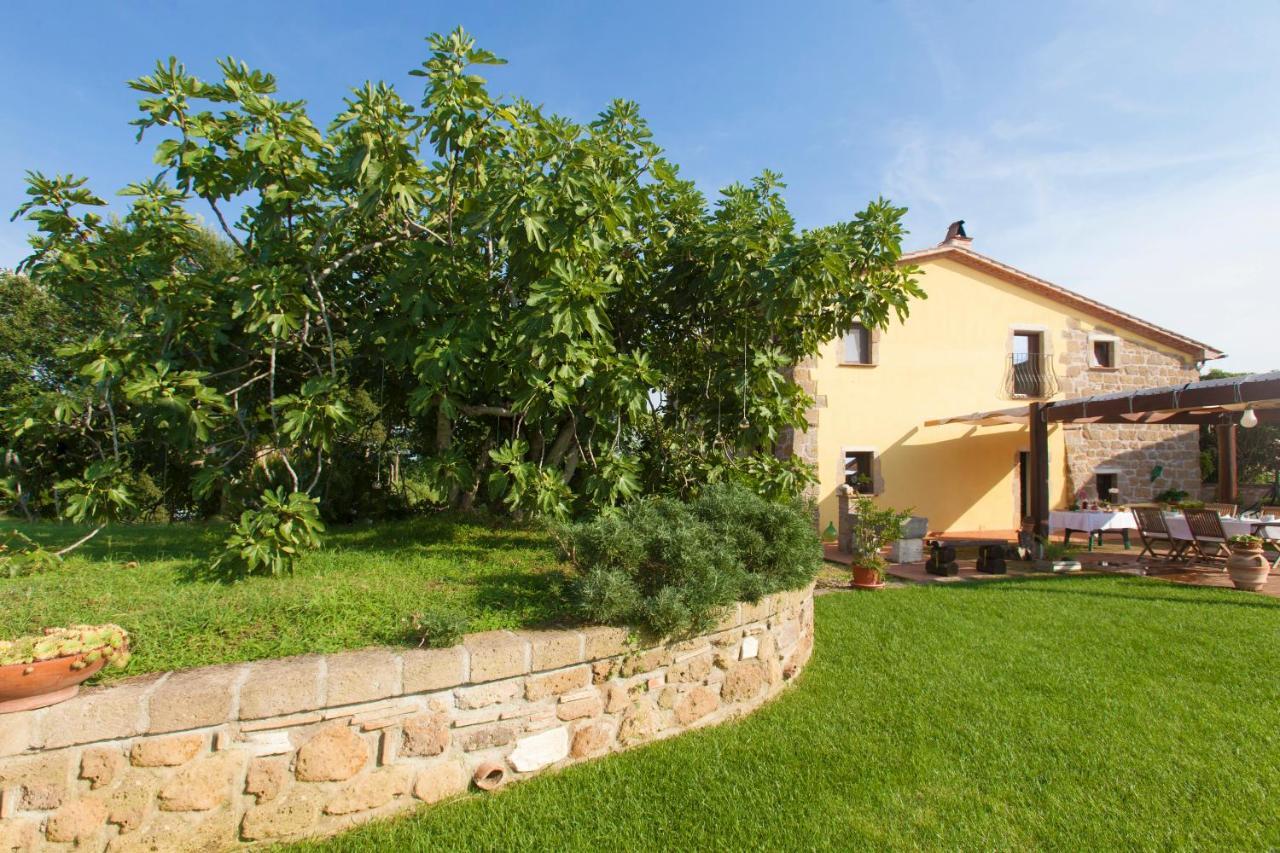 Bed and Breakfast Ficolivo Питильяно Экстерьер фото